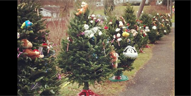 Heartbreaking photo of Christmas trees for Newtown victims goes viral