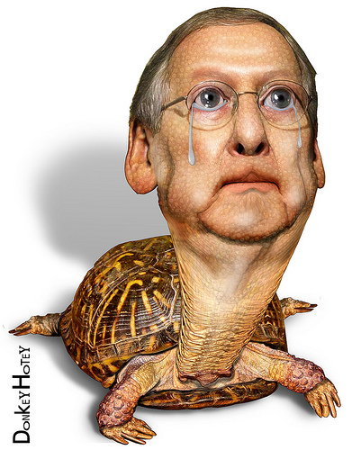 tippy turtle