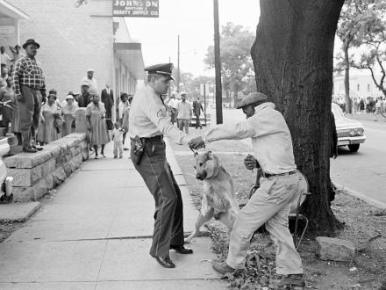 Bull Connor ordered police dogs on black-demonstrators-in-may-1963