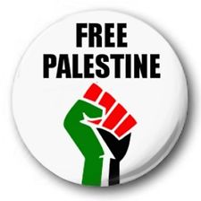 Palestine fist