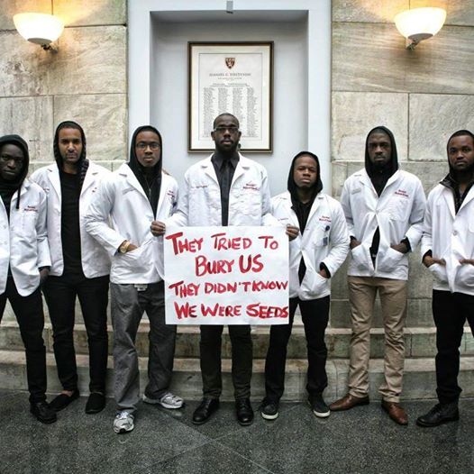 Harvard Medical School Graduates